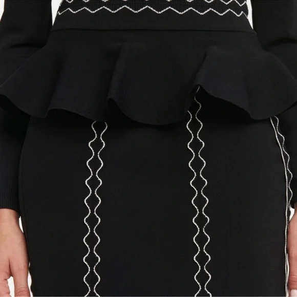 Alexander McQueen Stretch-Jersey Midi Skirt - Size S - Picture 3 of 16